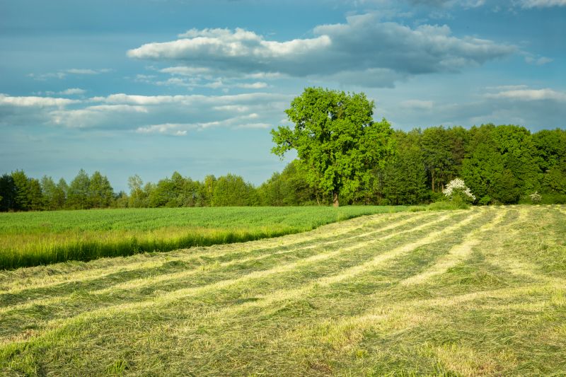 Acreage Mowing Service in Waldorf, MD