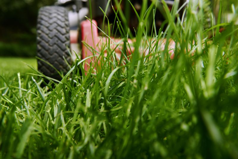 Brush Mowing Service in Duluth, MN