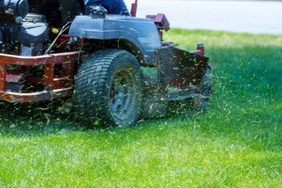 Bush Hog Mowing in Prince Georges County, MD