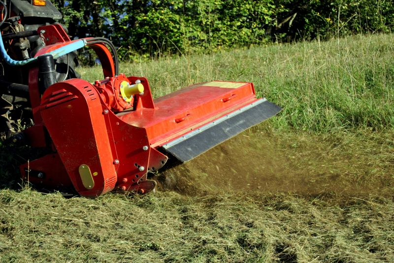 Clearing Overgrown Land