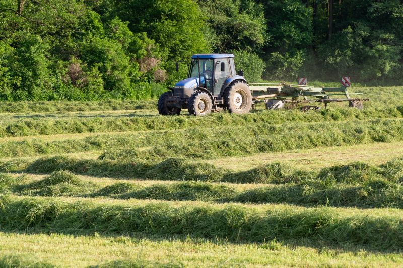 Land Being Cleared