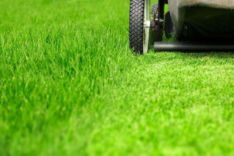 Lawn Management in Bowie, MD