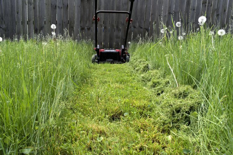 Routine Lawn Care in Bowie, MD