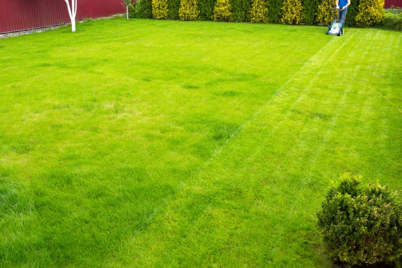 Seasonal Lawn Care in Bowie, MD