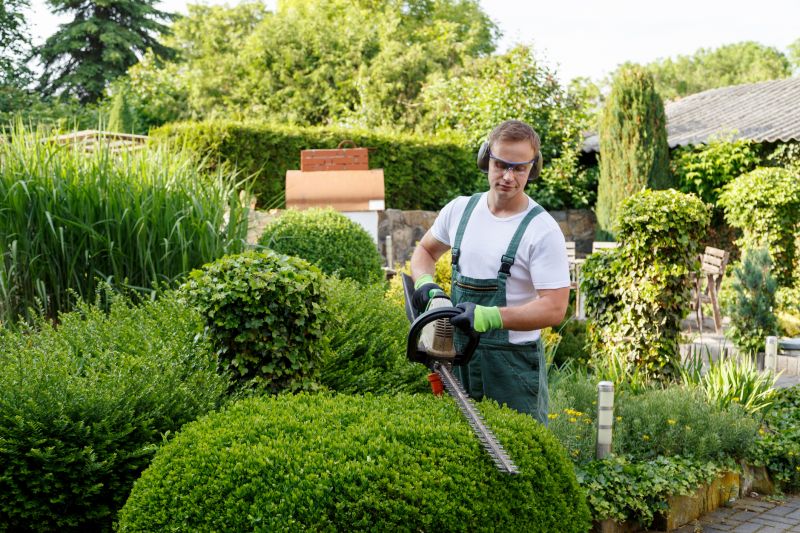 Experienced Landscape Contractors