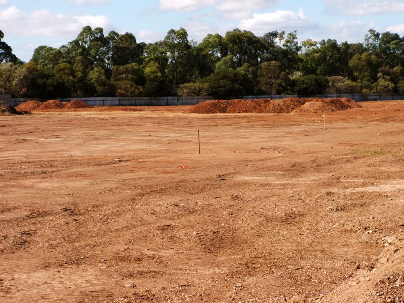 Land Before and After Clearing